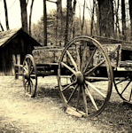 Washington Georgia History